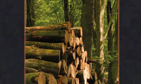 Oduncular – İmam Hatip Nesli’nden 11